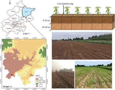 Soil bacterial community characteristics and its effect on organic carbon under different fertilization treatments